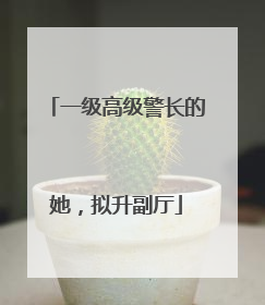 一级高级警长的她，拟升副厅