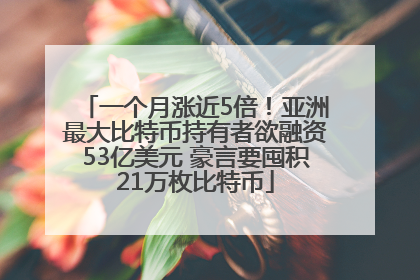 一个月涨近5倍！亚洲最大比特币持有者欲融资53亿美元 豪言要囤积21万枚比特币