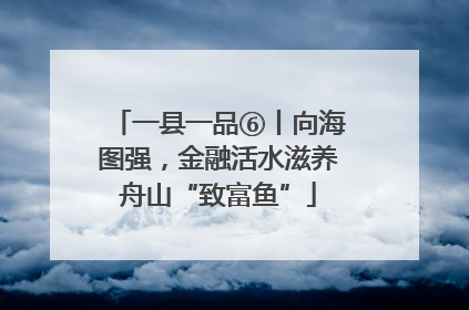 一县一品⑥丨向海图强，金融活水滋养舟山“致富鱼”