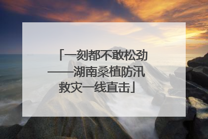 一刻都不敢松劲——湖南桑植防汛救灾一线直击