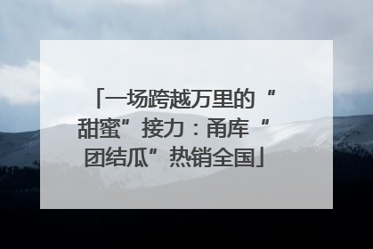 一场跨越万里的“甜蜜”接力：甬库“团结瓜”热销全国