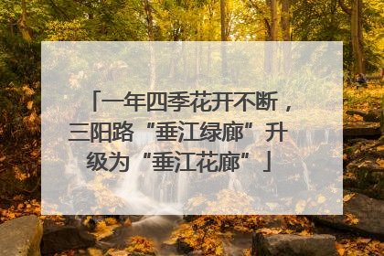 一年四季花开不断，三阳路“垂江绿廊”升级为“垂江花廊”
