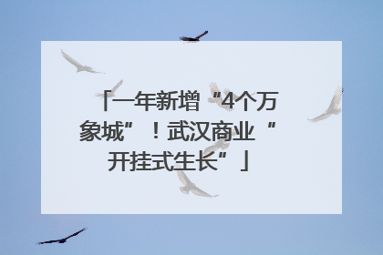 一年新增“4个万象城”！武汉商业“开挂式生长”