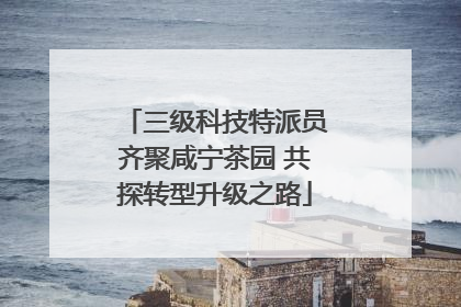 三级科技特派员齐聚咸宁茶园 共探转型升级之路
