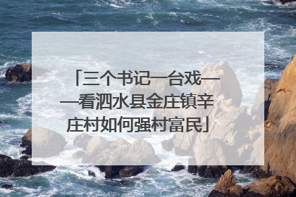 三个书记一台戏——看泗水县金庄镇辛庄村如何强村富民