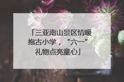 三亚南山景区情暖抱古小学，“六一”礼物点亮童心