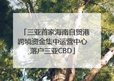 三亚首家海南自贸港跨境资金集中运营中心落户三亚CBD