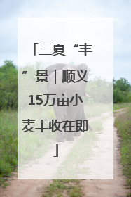三夏“丰”景｜顺义15万亩小麦丰收在即
