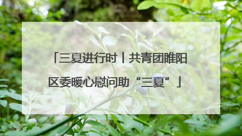 三夏进行时丨共青团睢阳区委暖心慰问助“三夏”