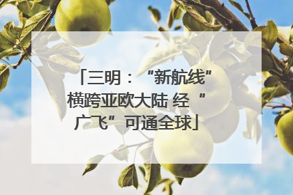 三明：“新航线”横跨亚欧大陆 经“广飞”可通全球