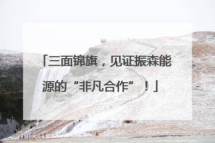 三面锦旗，见证振森能源的“非凡合作”！