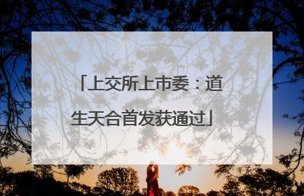 上交所上市委：道生天合首发获通过