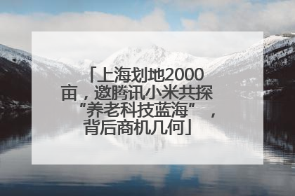 上海划地2000亩，邀腾讯小米共探“养老科技蓝海”，背后商机几何