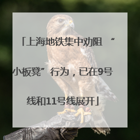 上海地铁集中劝阻 “小板凳”行为，已在9号线和11号线展开