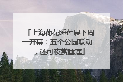 上海荷花睡莲展下周一开幕：五个公园联动，还可夜赏睡莲