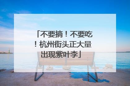 不要摘！不要吃！杭州街头正大量出现紫叶李