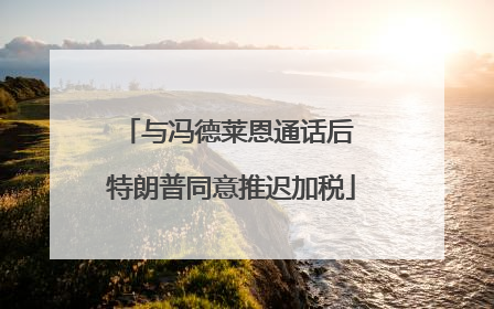 与冯德莱恩通话后 特朗普同意推迟加税