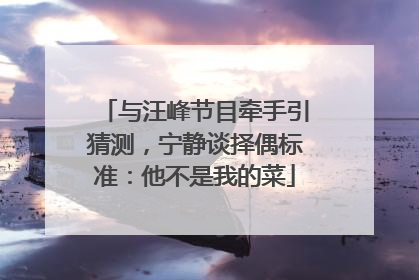 与汪峰节目牵手引猜测，宁静谈择偶标准：他不是我的菜
