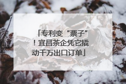 专利变“票子”！宜昌茶企凭它撬动千万出口订单