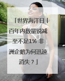 世界海洋日丨百年内数量锐减至不足1% 非洲企鹅为何迅速消失？