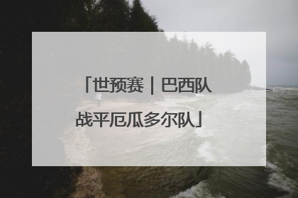 世预赛｜巴西队战平厄瓜多尔队
