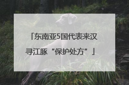 东南亚5国代表来汉寻江豚“保护处方”