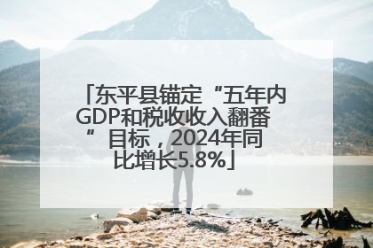 东平县锚定“五年内GDP和税收收入翻番”目标，2024年同比增长5.8%