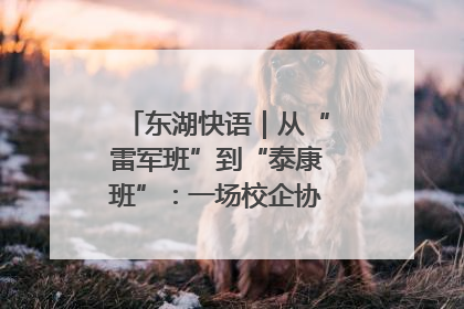 东湖快语｜从“雷军班”到“泰康班”：一场校企协同的“接力赛”