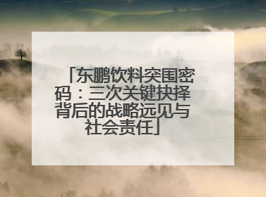 东鹏饮料突围密码：三次关键抉择背后的战略远见与社会责任