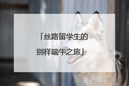 丝路留学生的别样端午之旅