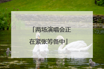 两场演唱会正在紧张筹备中