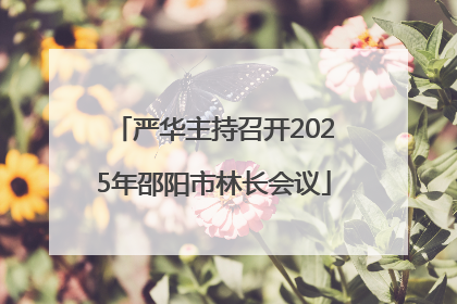 严华主持召开2025年邵阳市林长会议