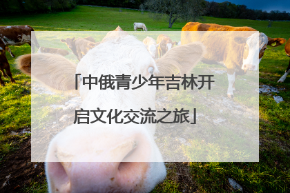 中俄青少年吉林开启文化交流之旅