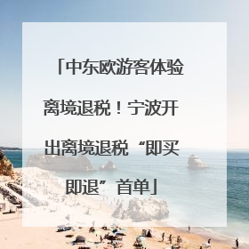 中东欧游客体验离境退税！宁波开出离境退税“即买即退”首单