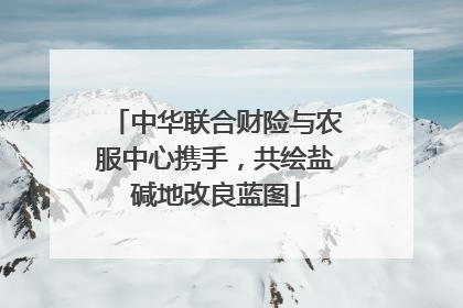 中华联合财险与农服中心携手，共绘盐碱地改良蓝图