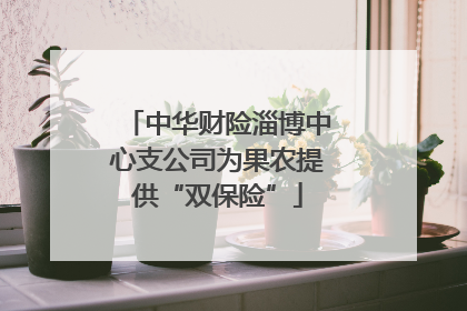 中华财险淄博中心支公司为果农提供“双保险”