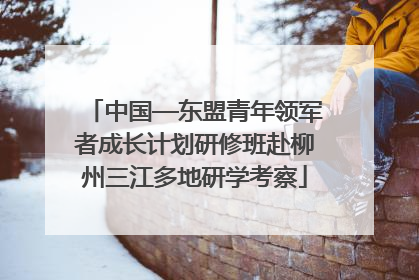 中国—东盟青年领军者成长计划研修班赴柳州三江多地研学考察