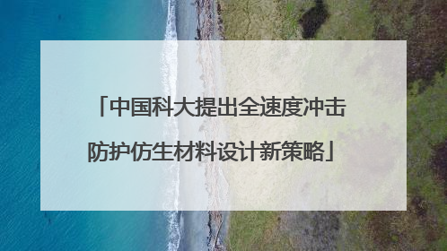 中国科大提出全速度冲击防护仿生材料设计新策略