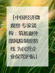 中国经济微观察·专家谈构：筑抵御外部风险制度防线 为民营企业保驾护航