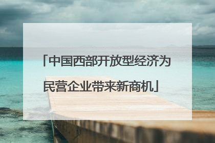 中国西部开放型经济为民营企业带来新商机