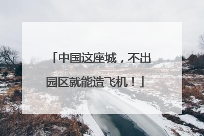 中国这座城，不出园区就能造飞机！