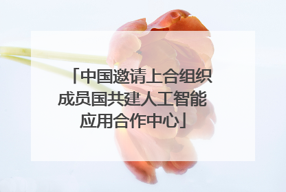 中国邀请上合组织成员国共建人工智能应用合作中心