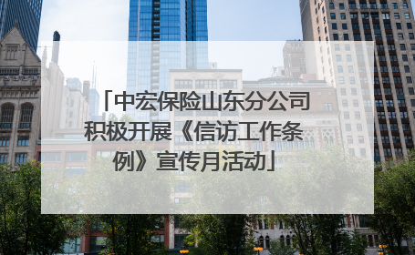 中宏保险山东分公司积极开展《信访工作条例》宣传月活动