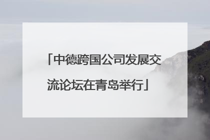 中德跨国公司发展交流论坛在青岛举行