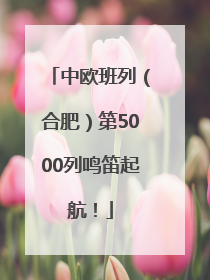 中欧班列（合肥）第5000列鸣笛起航！