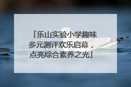 乐山实验小学趣味多元测评欢乐启幕，点亮综合素养之光