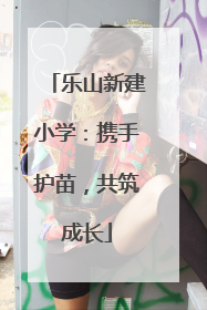 乐山新建小学：携手护苗，共筑成长