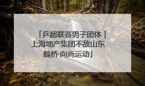 乒超联赛男子团体｜上海地产集团不敌山东魏桥·向尚运动