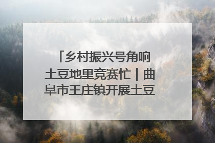 乡村振兴号角响 土豆地里竞赛忙｜曲阜市王庄镇开展土豆收获劳动竞赛