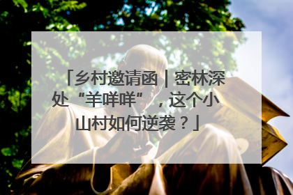 乡村邀请函｜密林深处“羊咩咩”，这个小山村如何逆袭？
